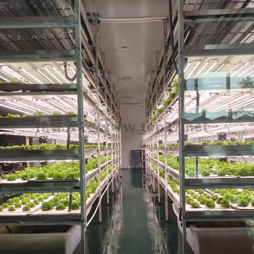 �M���� ����