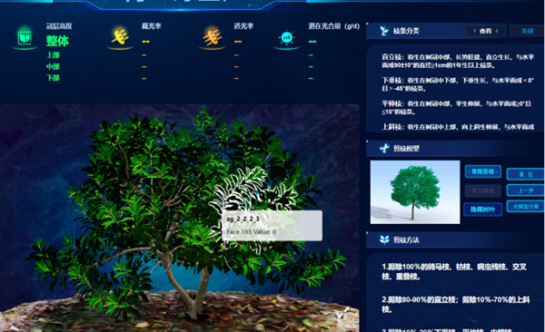 ���ơ��ϷN�w��÷�����r�������B(y��ng)��÷