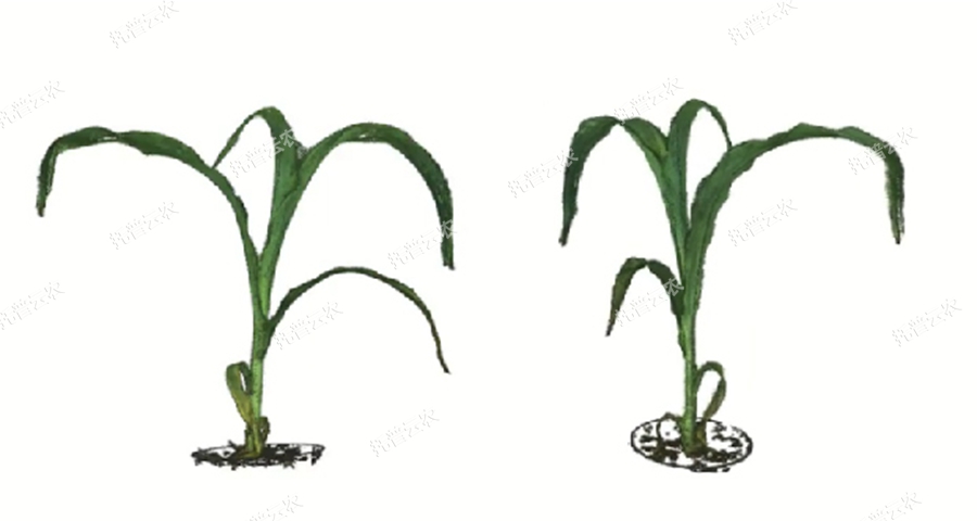 �澳ģ�M��ֲ�����L�O�yƽ�_-3�S