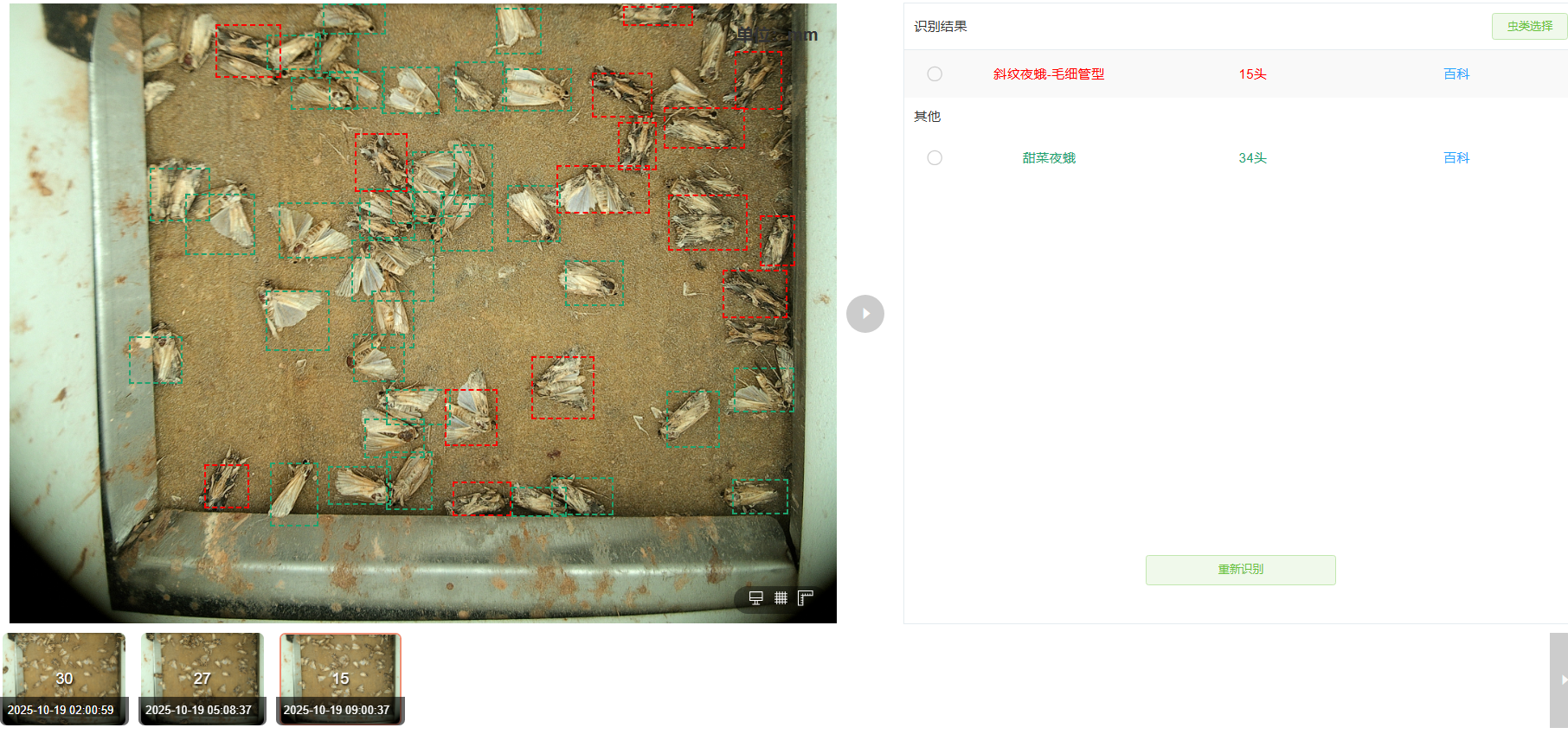 �����R�eӋ��