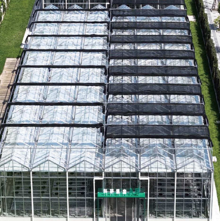 �������˹������ ����