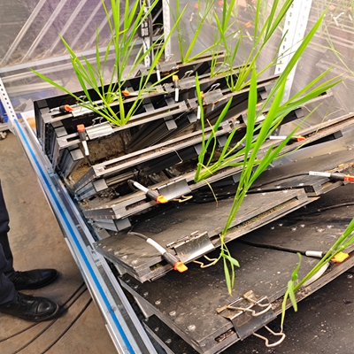 ��ͨ��ֲ���ϵ���Ͳɼ�����ϵ�y������ʽ�� TPN-GXY-GH